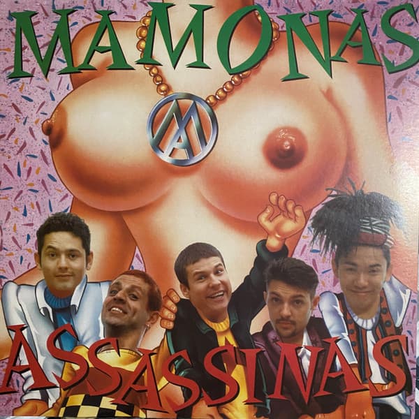 Vinyl Cover
