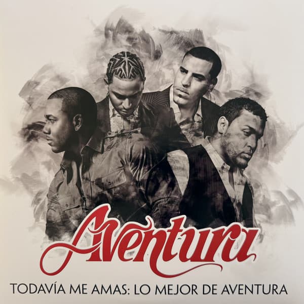 Vinyl Cover