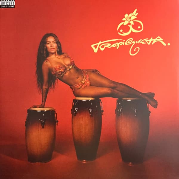 Vinyl Cover