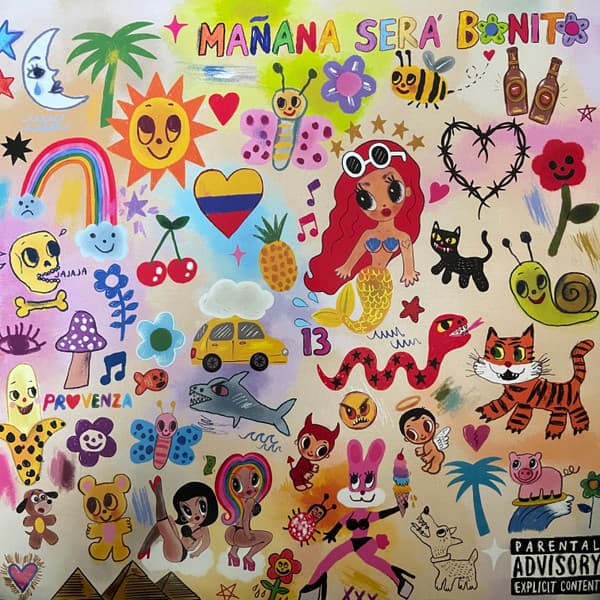 Vinyl Cover