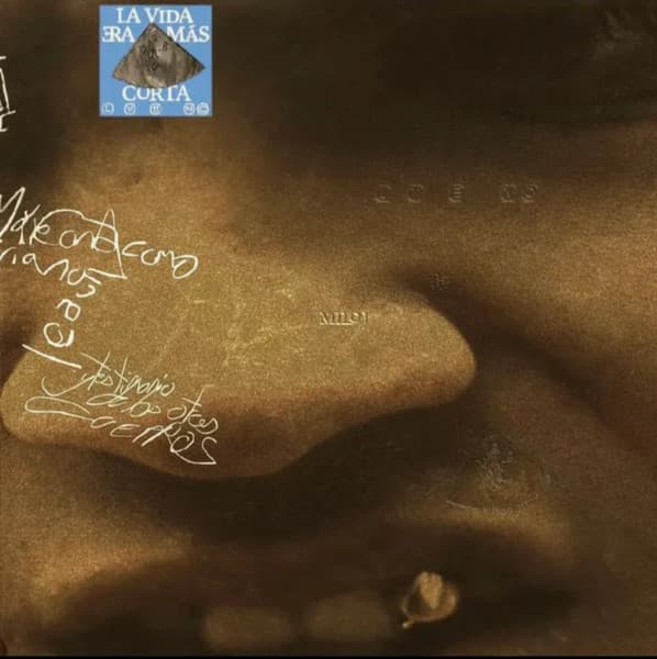 Vinyl Cover
