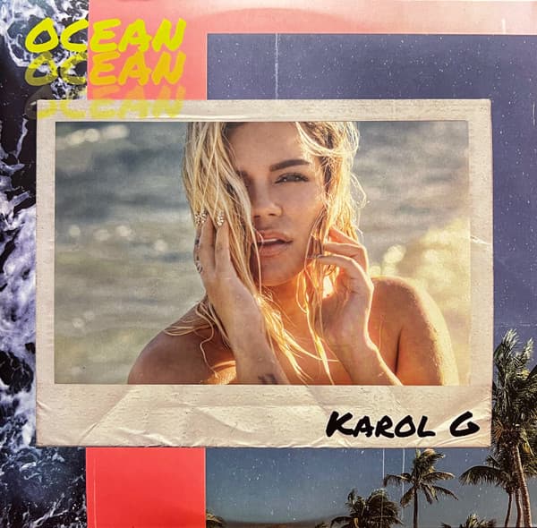 Vinyl Cover