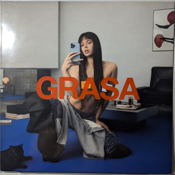 Vinyl Cover