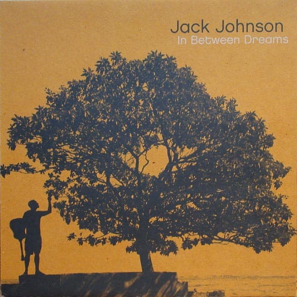 Vinyl Cover