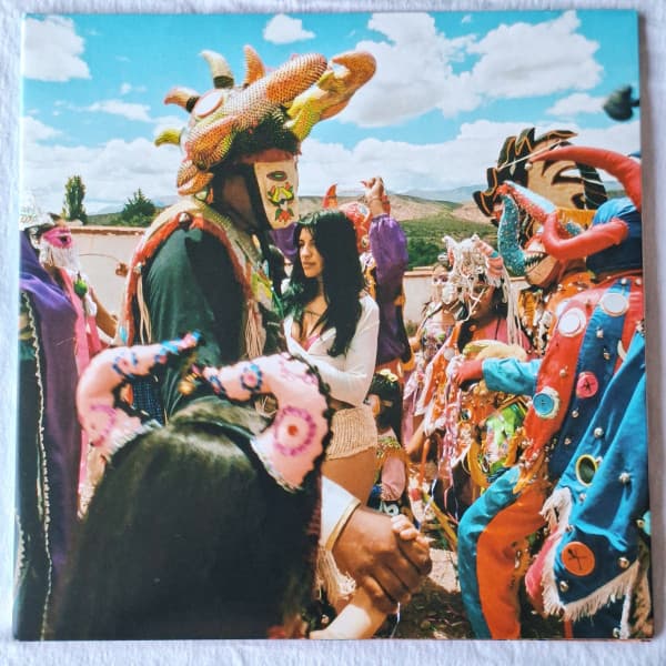 Vinyl Cover